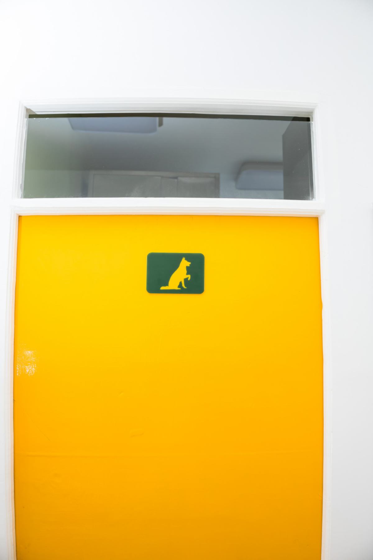 Mobivet Veterinary Clinic gallery photo